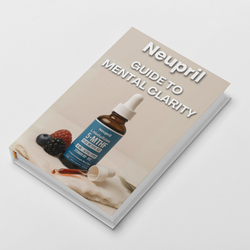 Mental Clarity E-Book