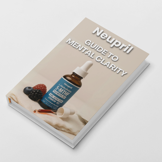 Mental Clarity E-Book